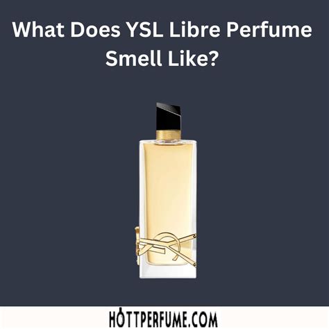 ysl cologne amazon|what does YSL smell like.